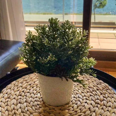 Apartment El Refugio De Insuela *